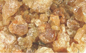 Food Ingredients